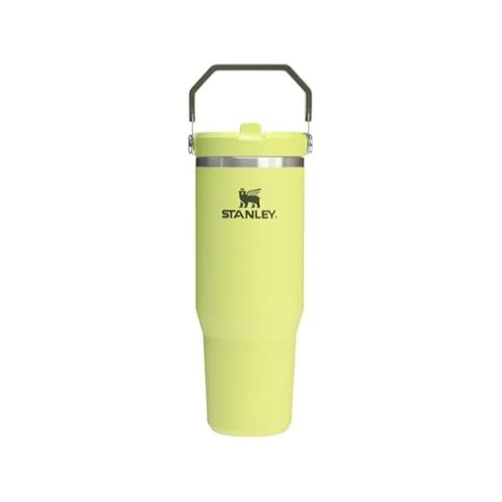 Stanley Iceflow 2.0 Flip Straw Tumbler with Handle 30 Oz | Twist on Lid and Flip
